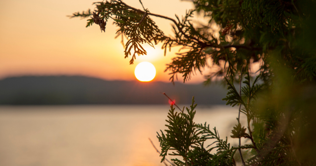 sunset-in-les-Laurentides-Québec-between-the-trees paddle tales paddletv facing waves