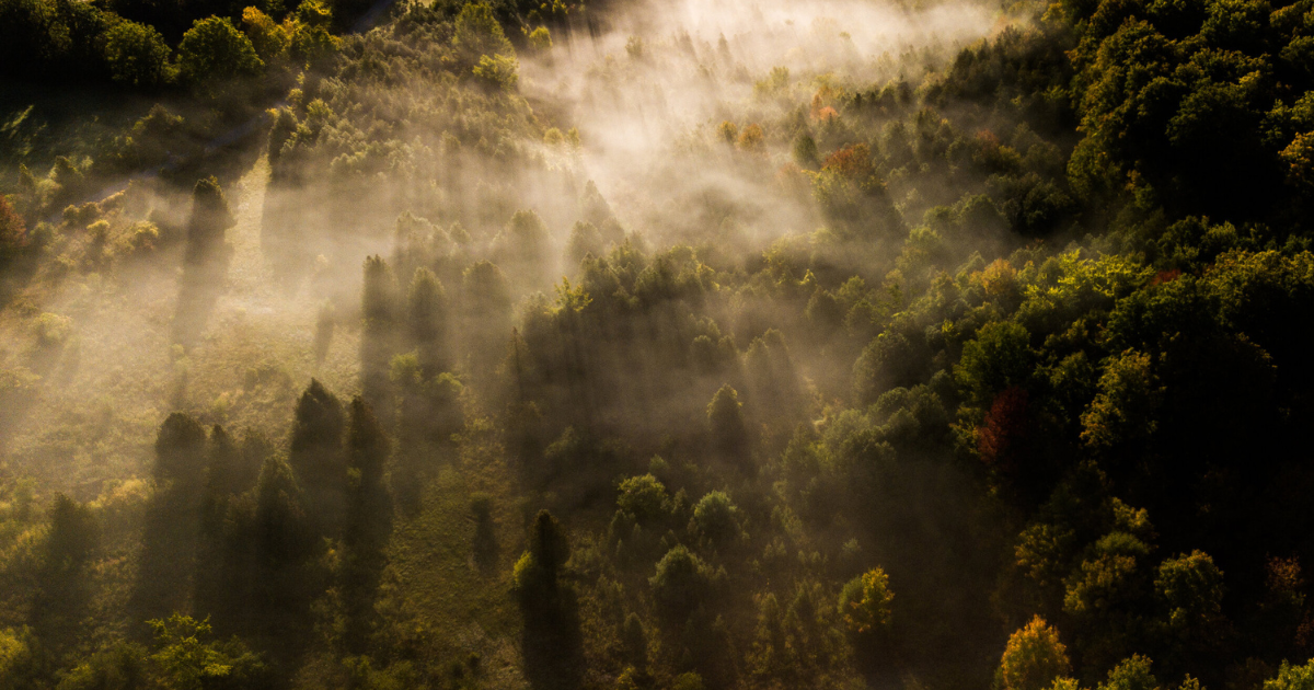 drone shot of fog over the rideau canal