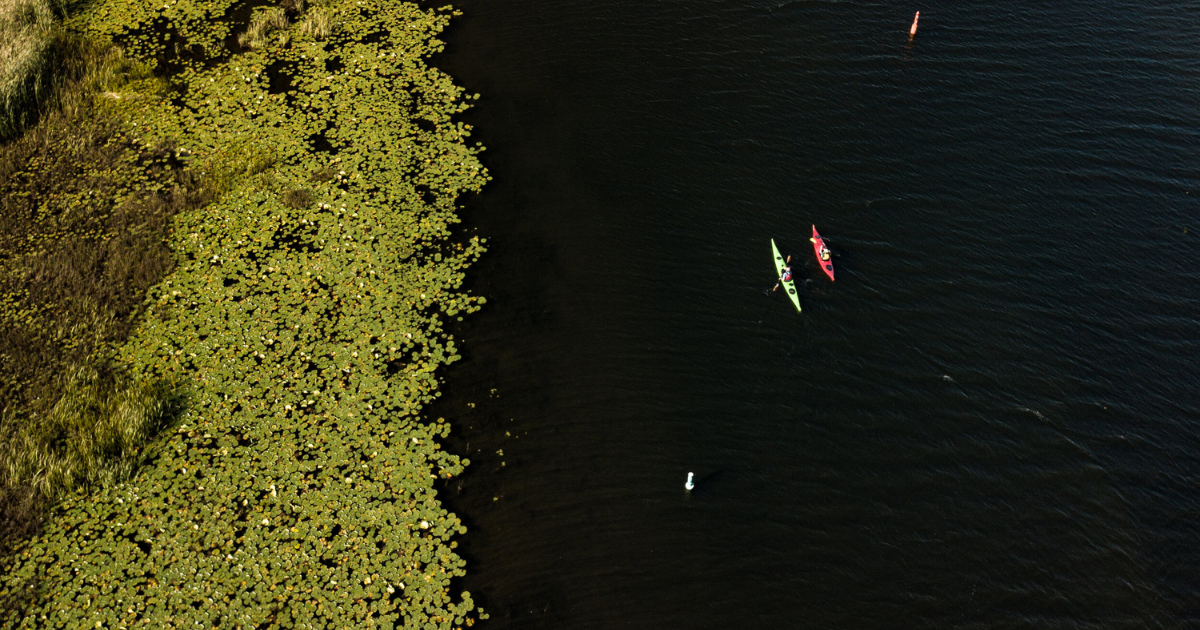 drone shot of ken and tour guide in rideau canal