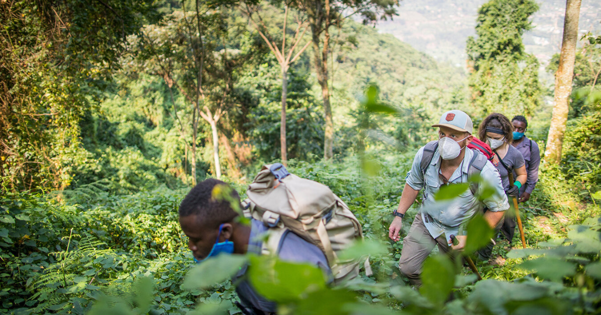 gorilla tour in uganda eric hanson on a backpacking and hiking adventure