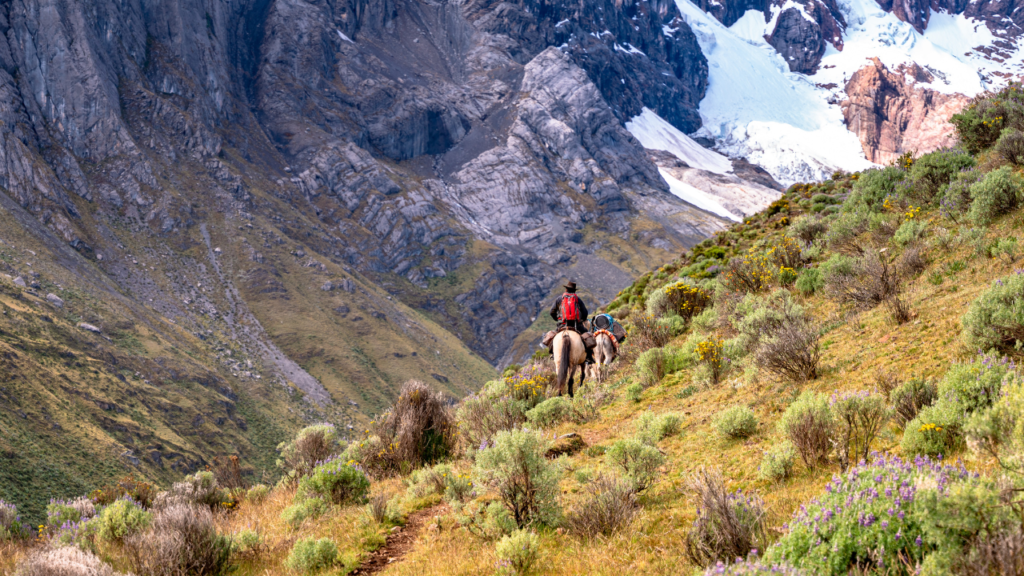 how to go on an international trek how to navigate a foreign country