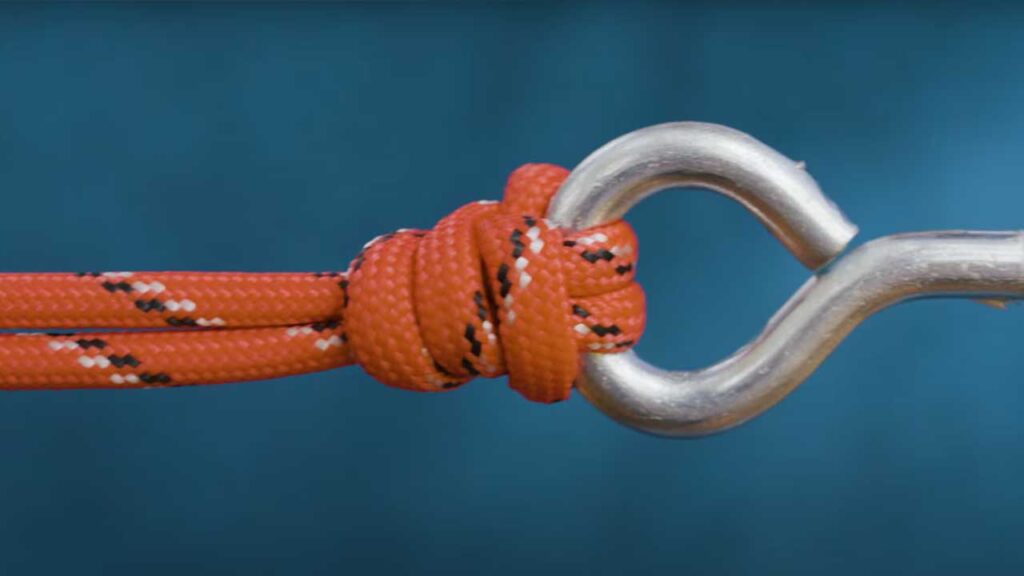The Palomar knot