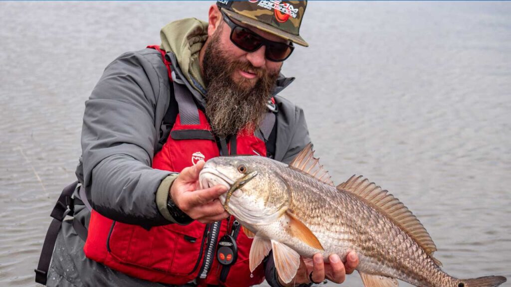 Sight Fishing success!  Today they were biting small swim baits.