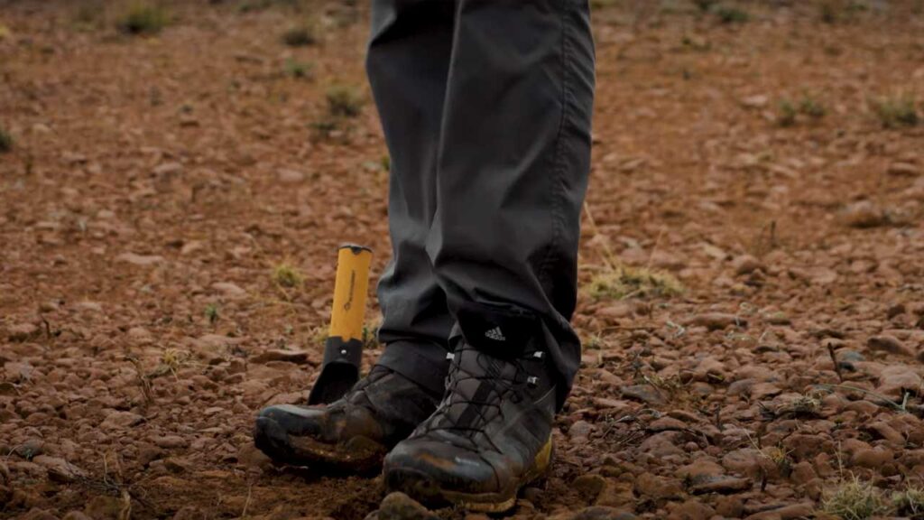 Buried treasure is always the best treasure for all!