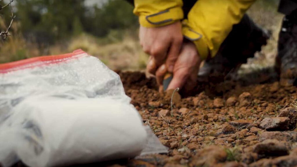 How to poop in the woods starts with the hole!