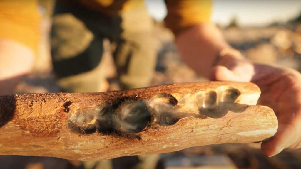 How to Start a Fire in the Wild with Sticks Tip: Keep an eye on your fireboard, once it starts really smoldering you are ready for your juniper nest.