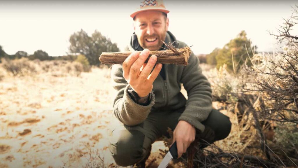 How to Start a Fire in the Wild with Sticks Tip: Sage provided a nice spindle.  