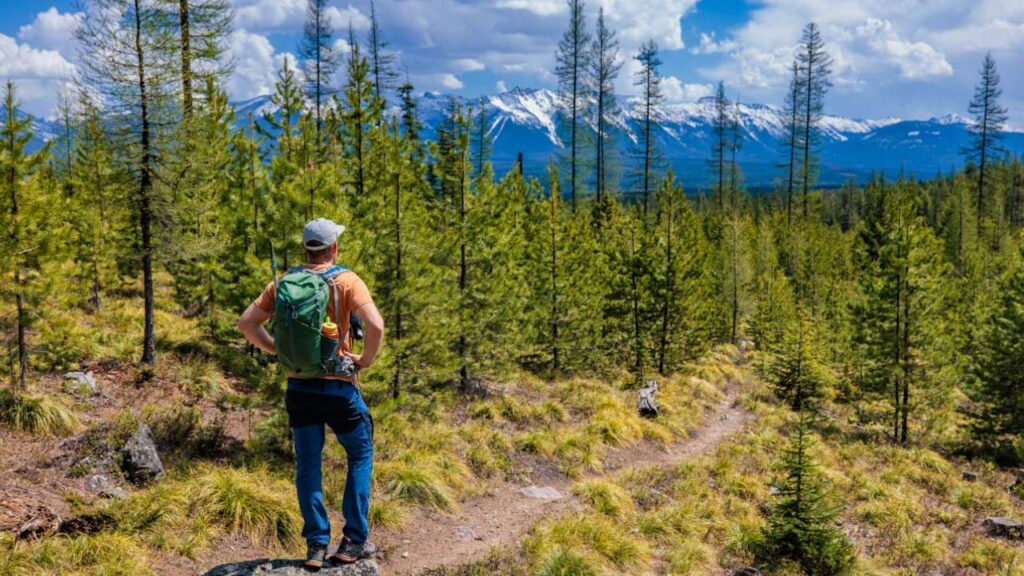 You can carry all the essentials for a day hike in this day pack. Perfect size for it all and has a perfect place for each item.
