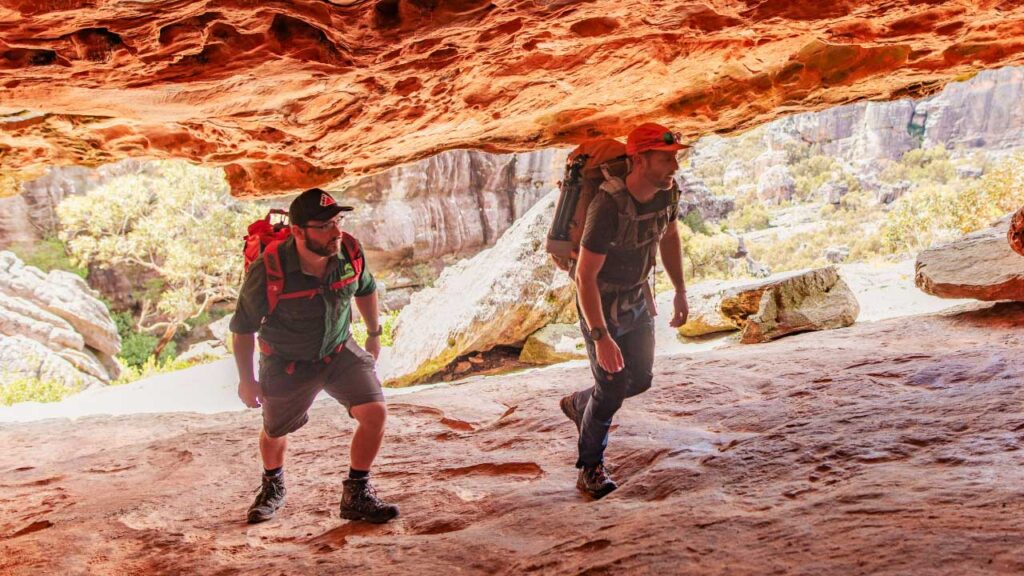 hiking pants are my preference over shorts