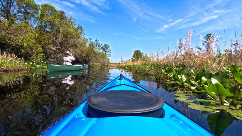 Day 2: Cruising down the Suwanee River