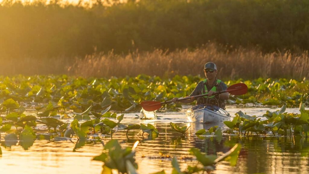 The idyllic lake that is home to Maul Hammock Shelter