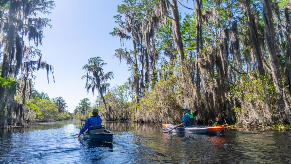 This is a very good kayak for a larger group of paddlers than I had expected.