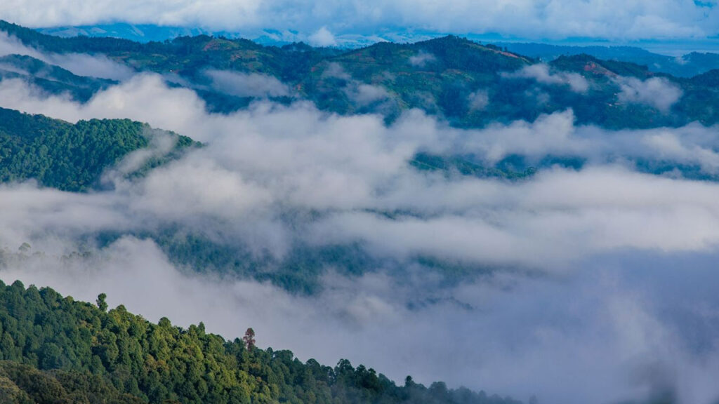You pass by so much history, good and bad, hiking in Rwanda