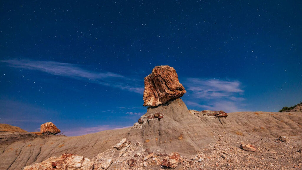 Some incredible sights to be had in this wilderness.