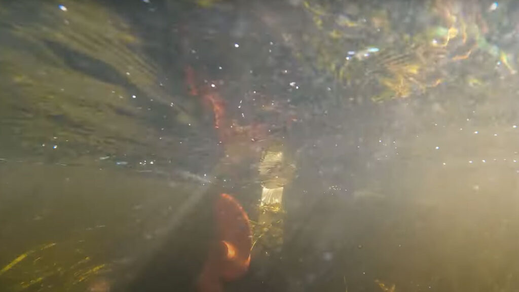 Running a kayak motor in the grass Rock Guard.