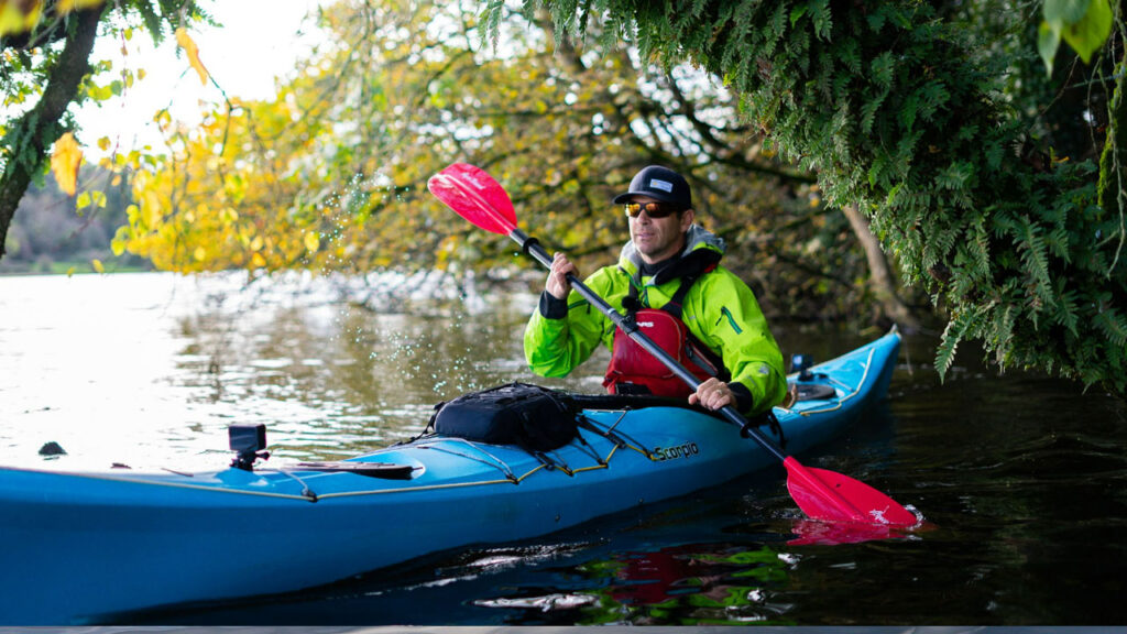 Taking a break from the wind.